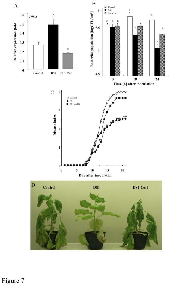 Figure 7