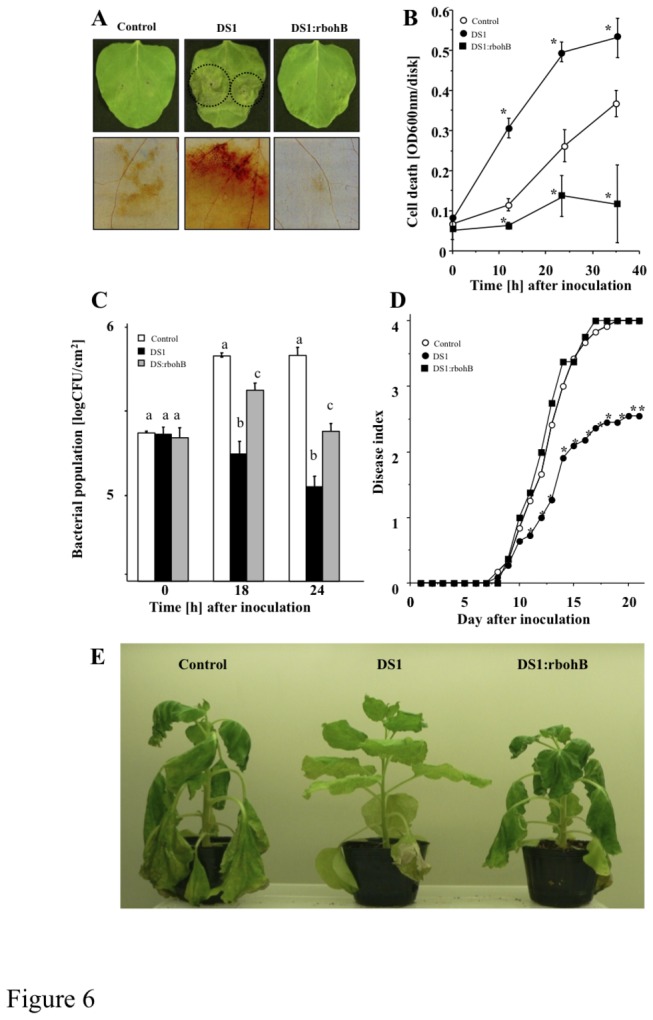 Figure 6