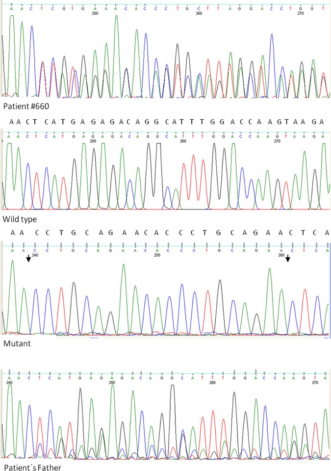 Fig 3