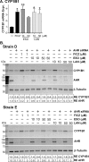 Fig 7