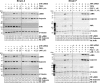 Fig 8