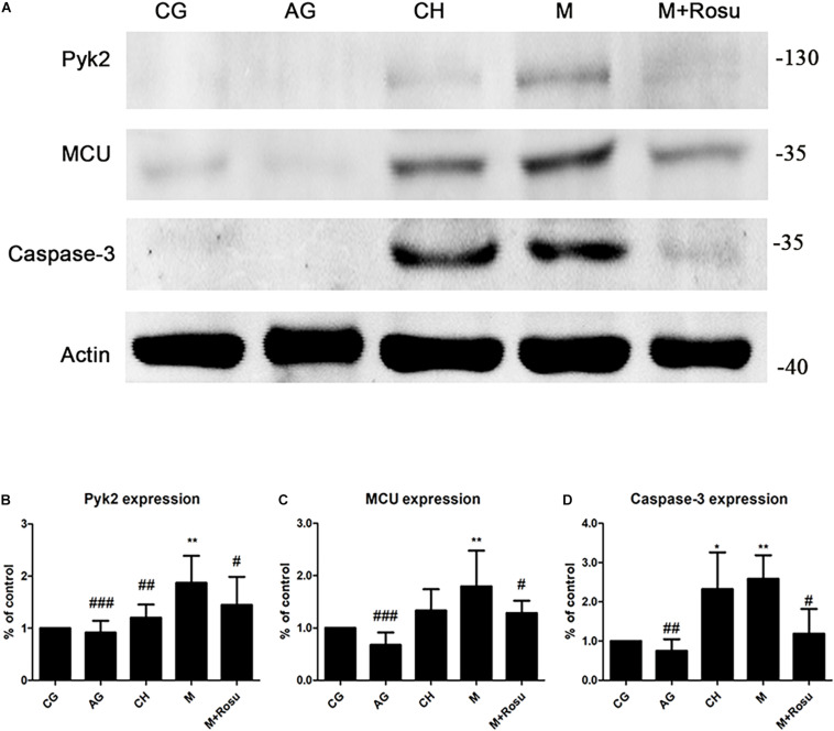 FIGURE 3