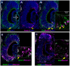 Fig. 3.