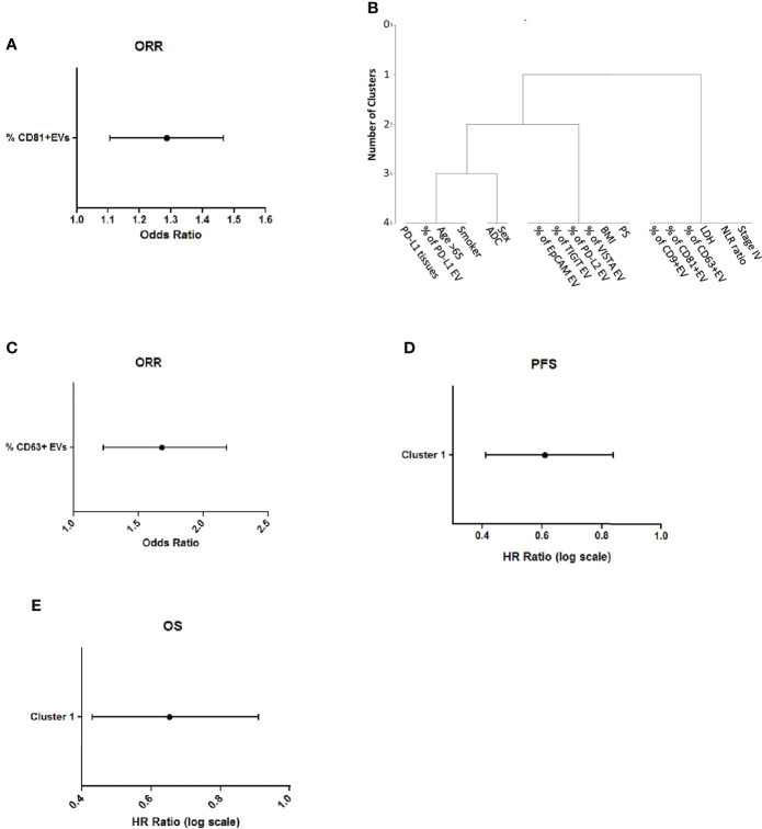 Figure 5