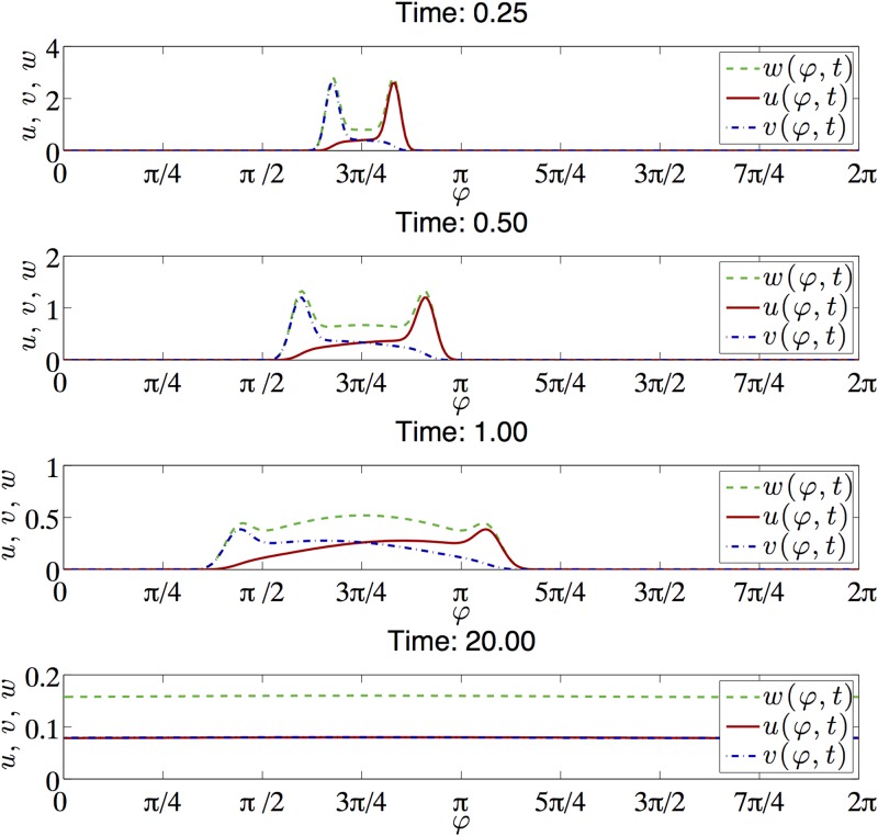 Fig 11