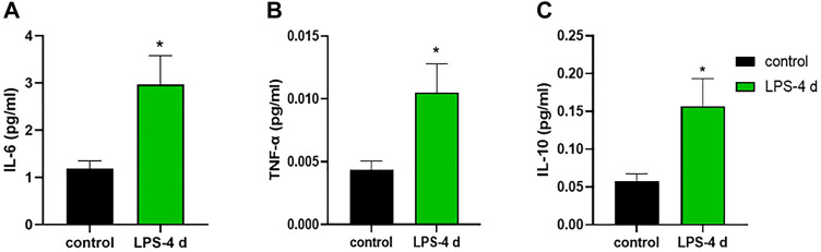 FIGURE 11