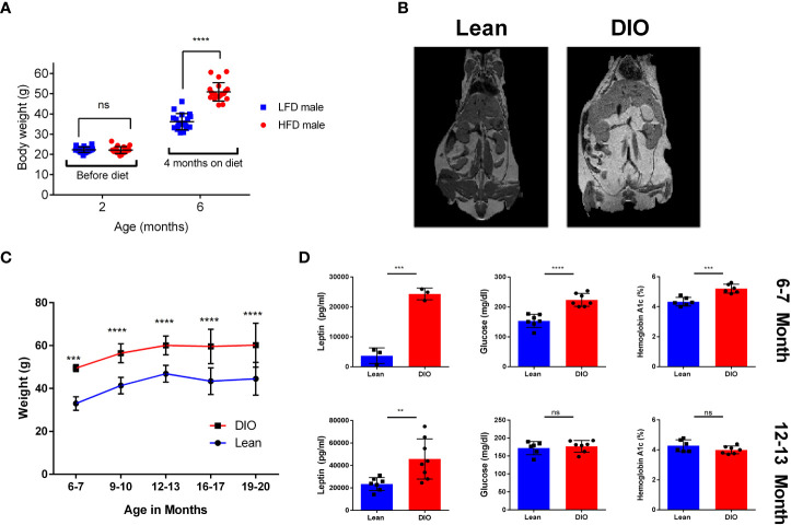 Figure 1