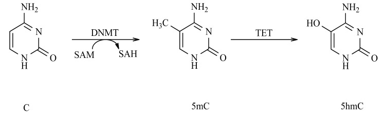 Fig. (1)