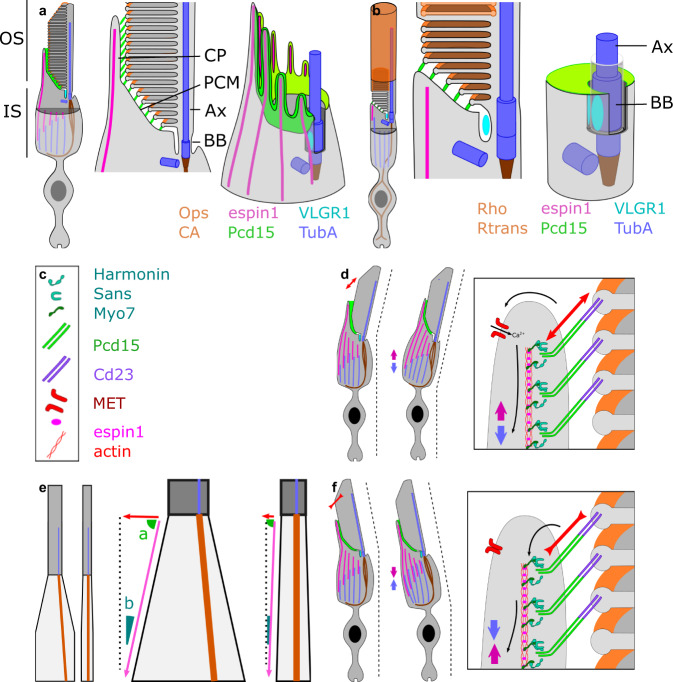 Fig. 7