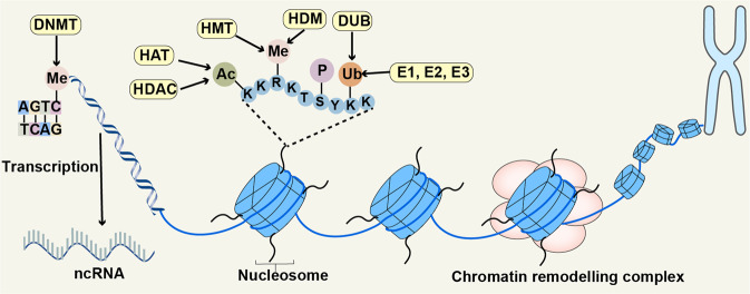 Fig. 2