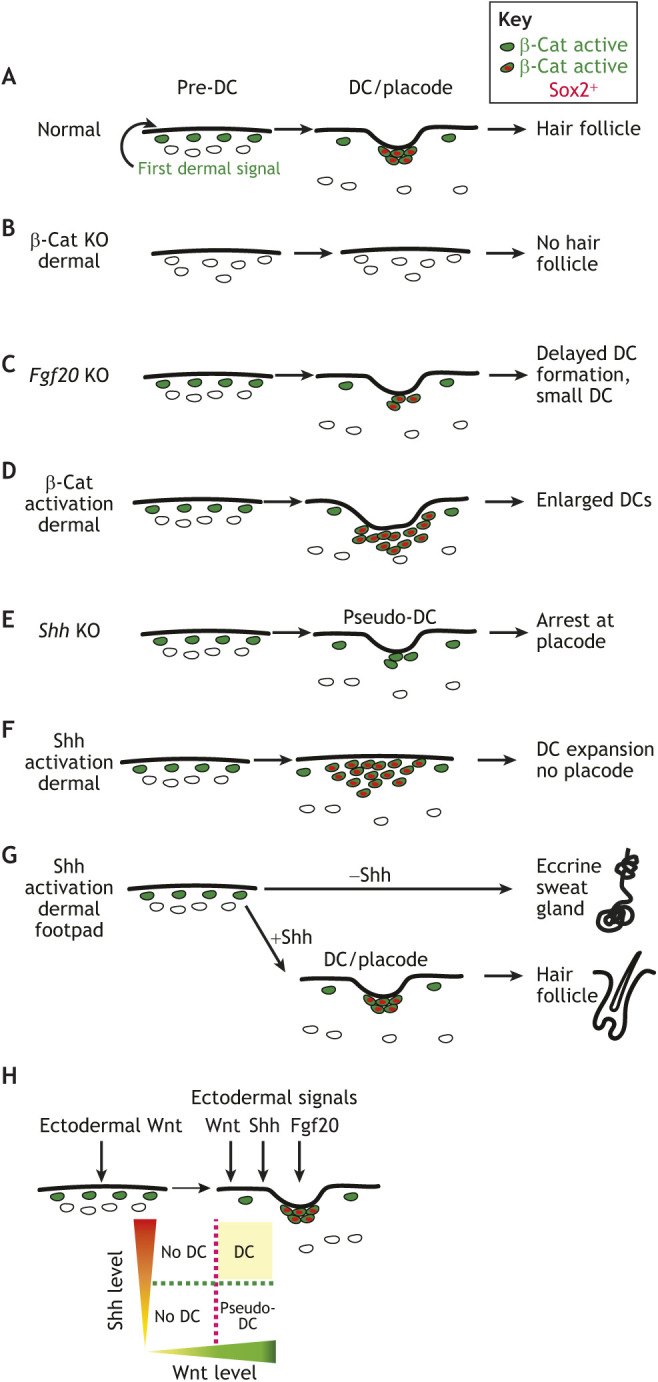 Fig. 3.