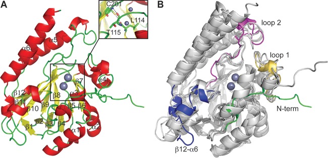 FIG 3