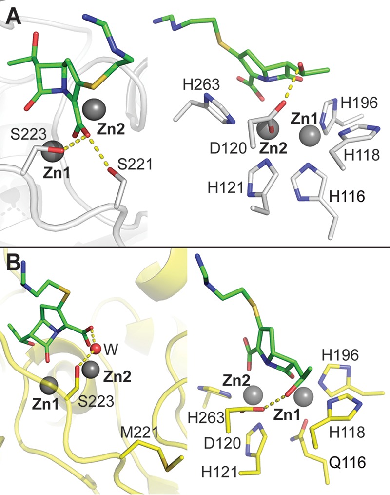 FIG 6