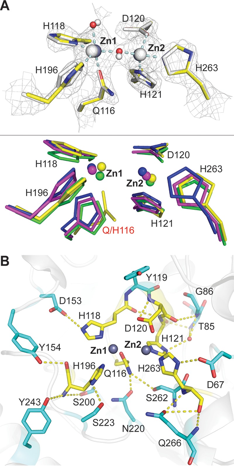 FIG 4