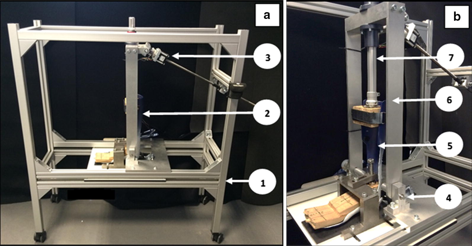 Fig. 1