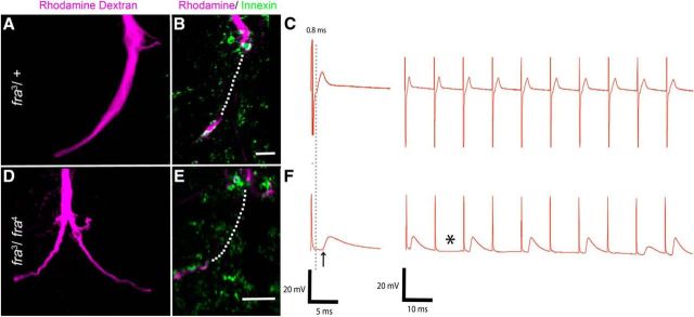 Figure 10.