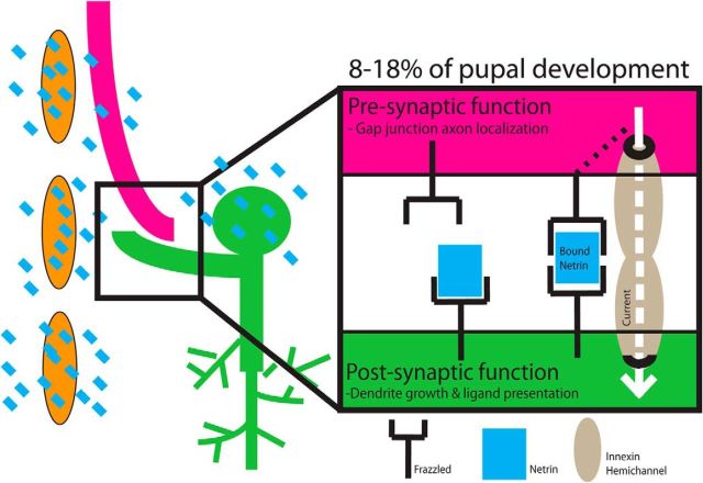 Figure 13.