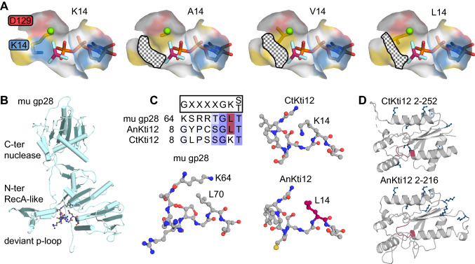 Fig. 4