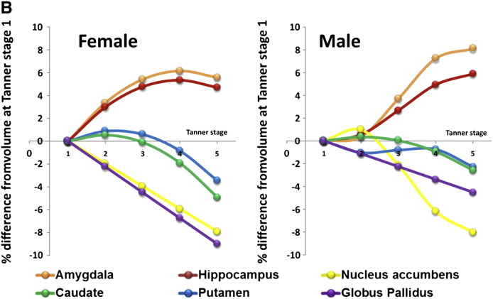 Fig. 2A