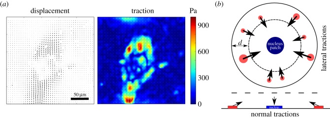 Figure 3.