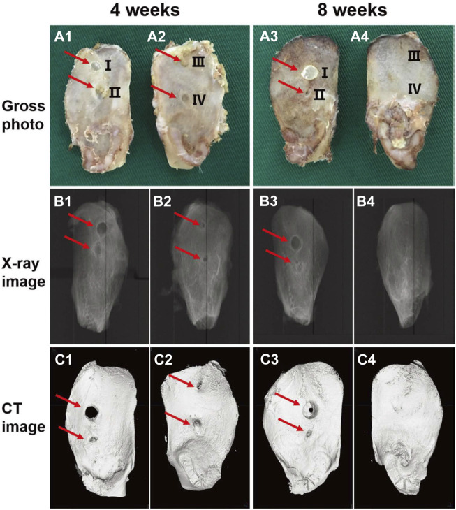 FIGURE 2