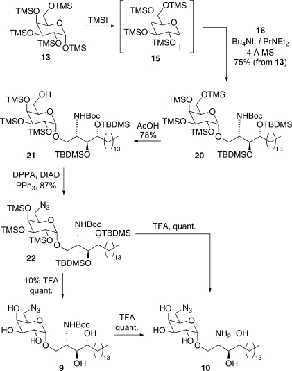 Scheme 2