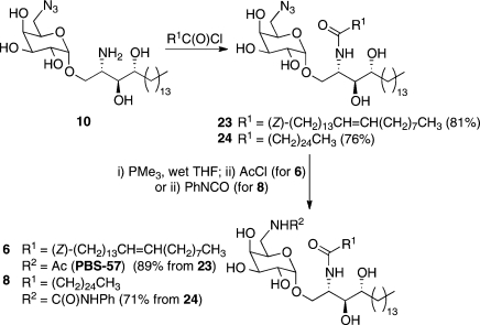 Scheme 3