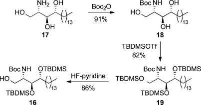 Scheme 1