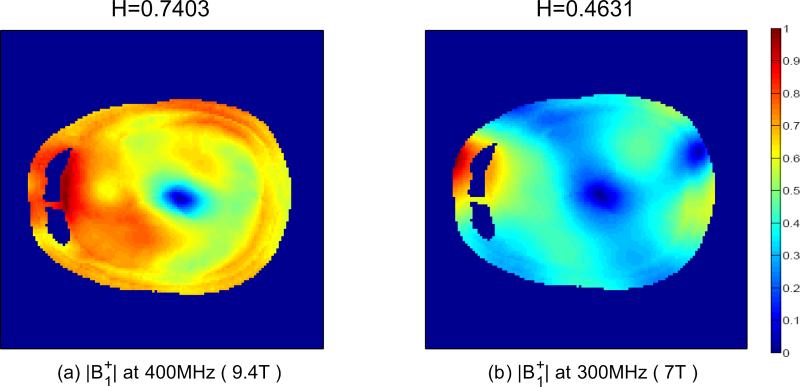 Fig.8