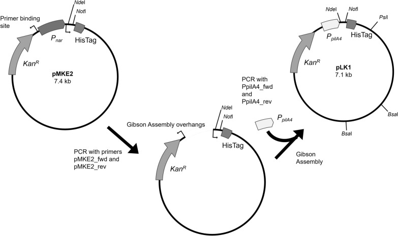 Fig. 5