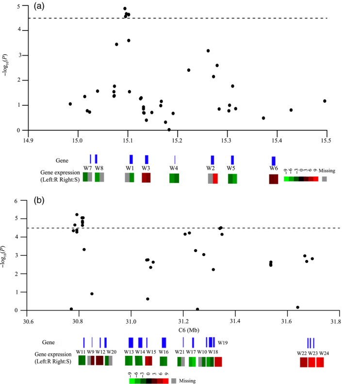 Figure 6