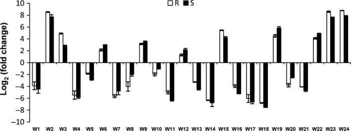 Figure 7