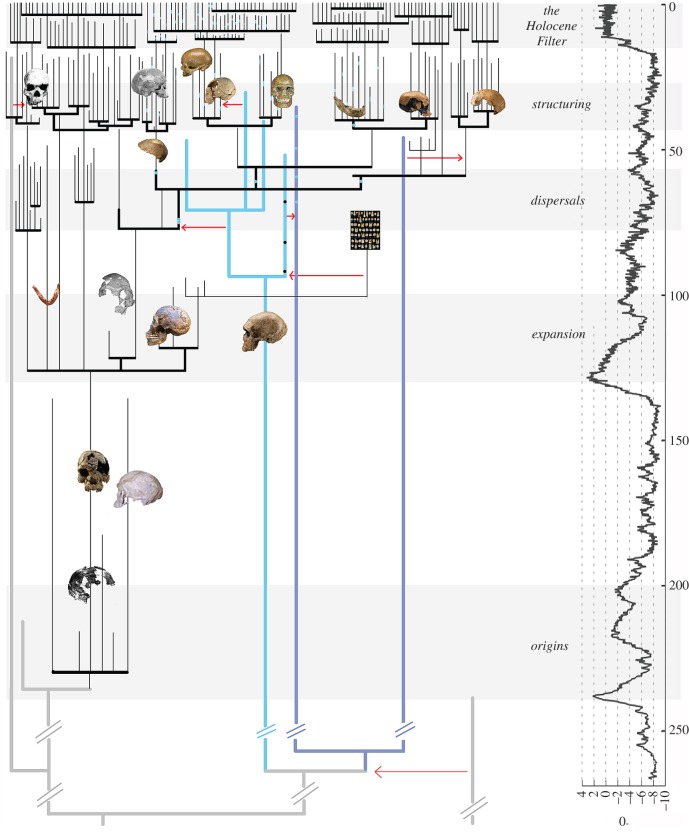 Figure 3.