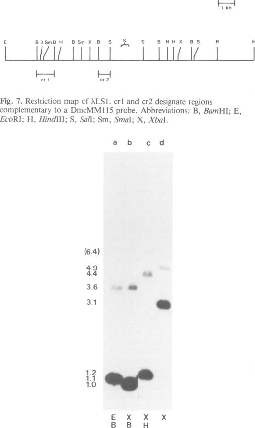 Fig. 8.