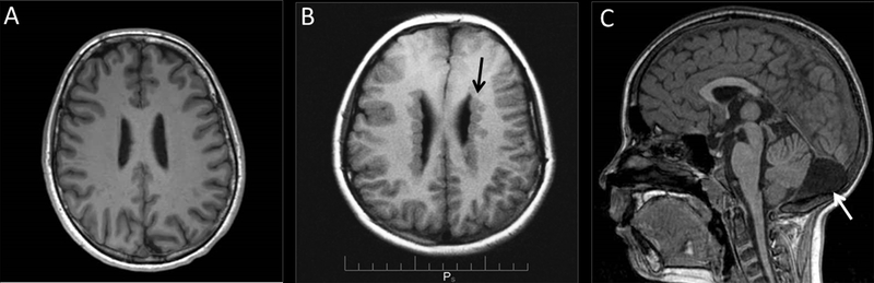 Figure 1: