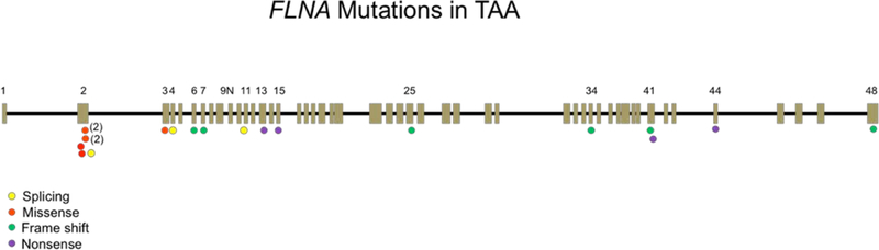 Figure 3: