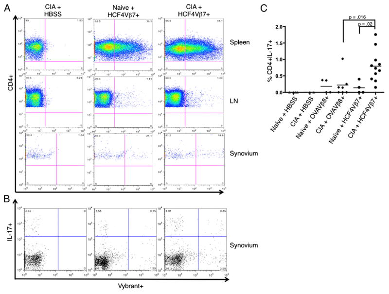 FIGURE 6