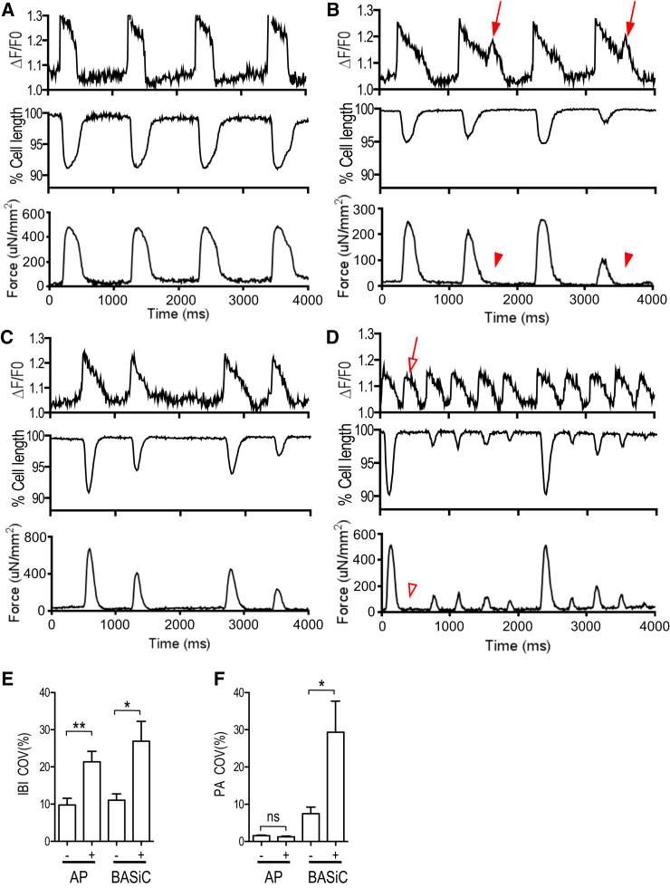 Figure 7