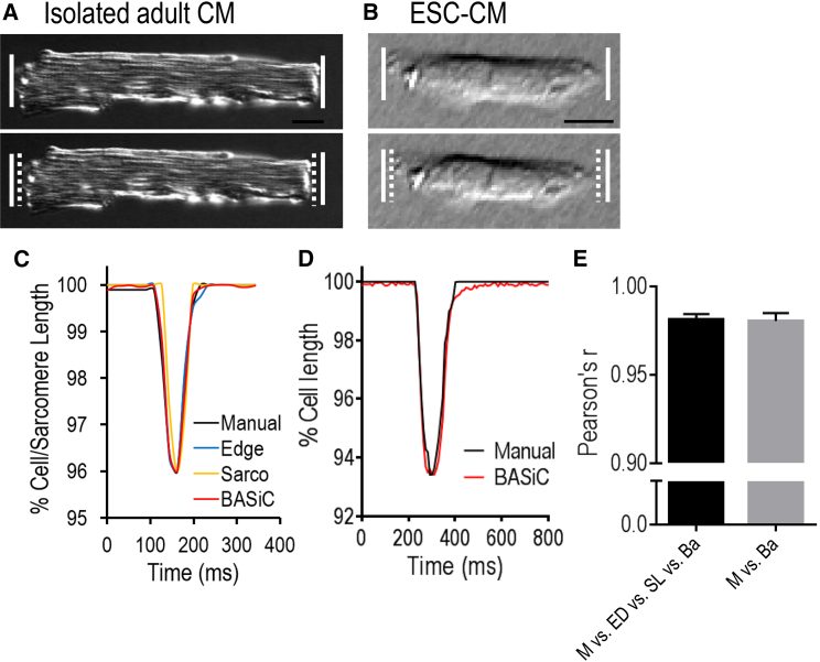 Figure 3