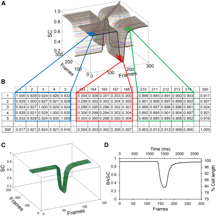 Figure 2