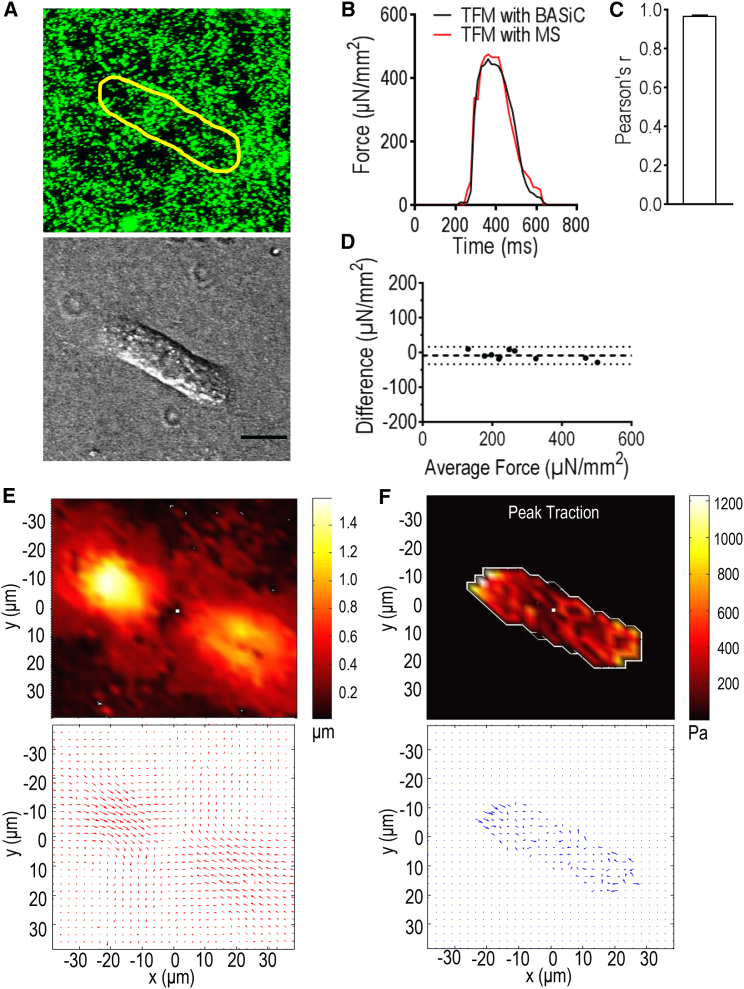 Figure 4