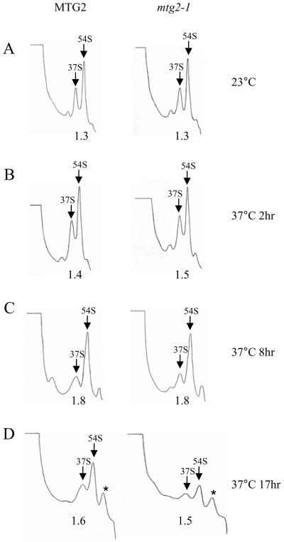 Figure 5.