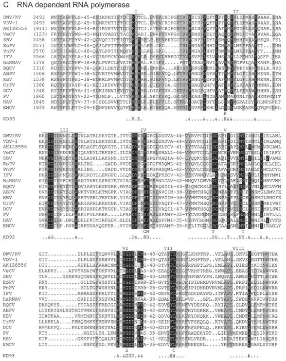 FIG.4.