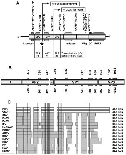 FIG. 3.