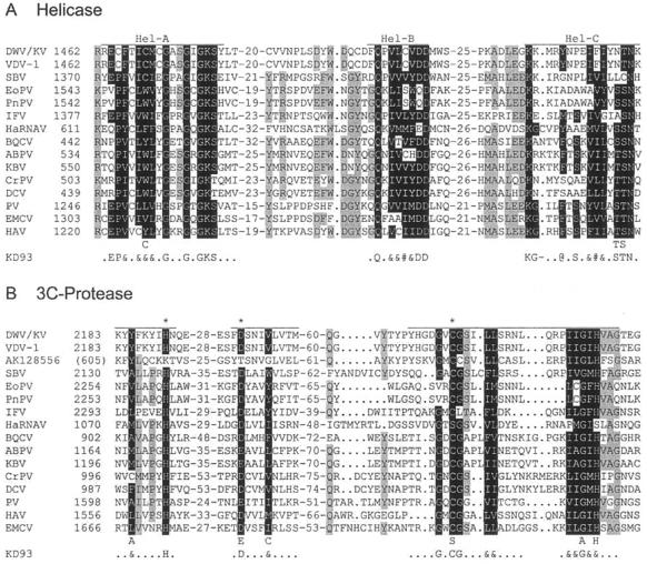 FIG.4.