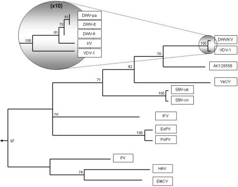 FIG. 5.