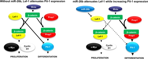 FIGURE 10.