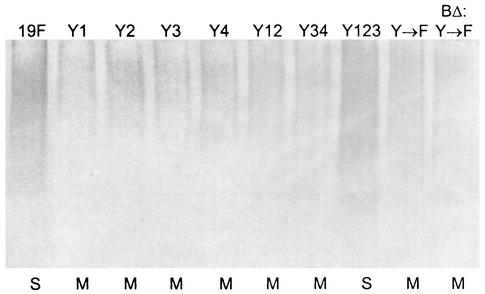 FIG. 8.