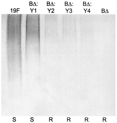 FIG. 7.