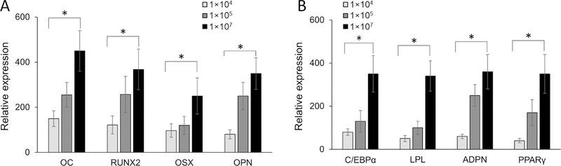 Figure 4: